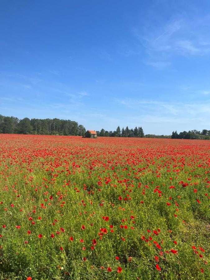 Oh ! Fleurs Des Champs Panzió Chaumont-sur-Tharonne Kültér fotó